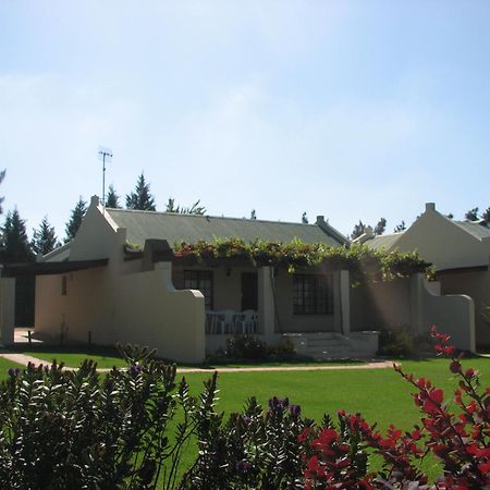 Skilpadvlei Wine Farm Stellenbosch Pokój zdjęcie