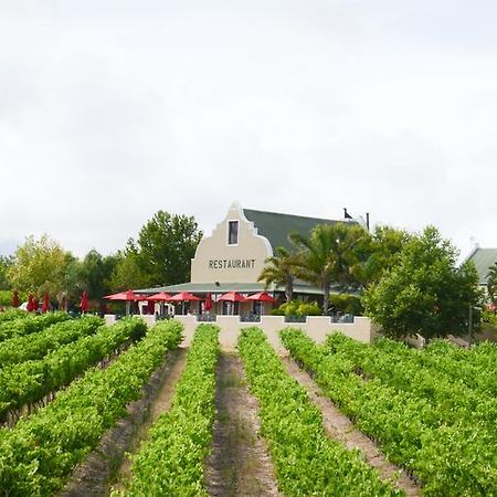 Skilpadvlei Wine Farm Stellenbosch Zewnętrze zdjęcie