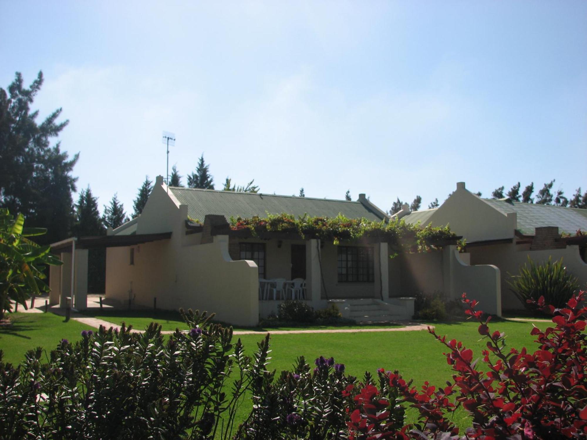 Skilpadvlei Wine Farm Stellenbosch Pokój zdjęcie
