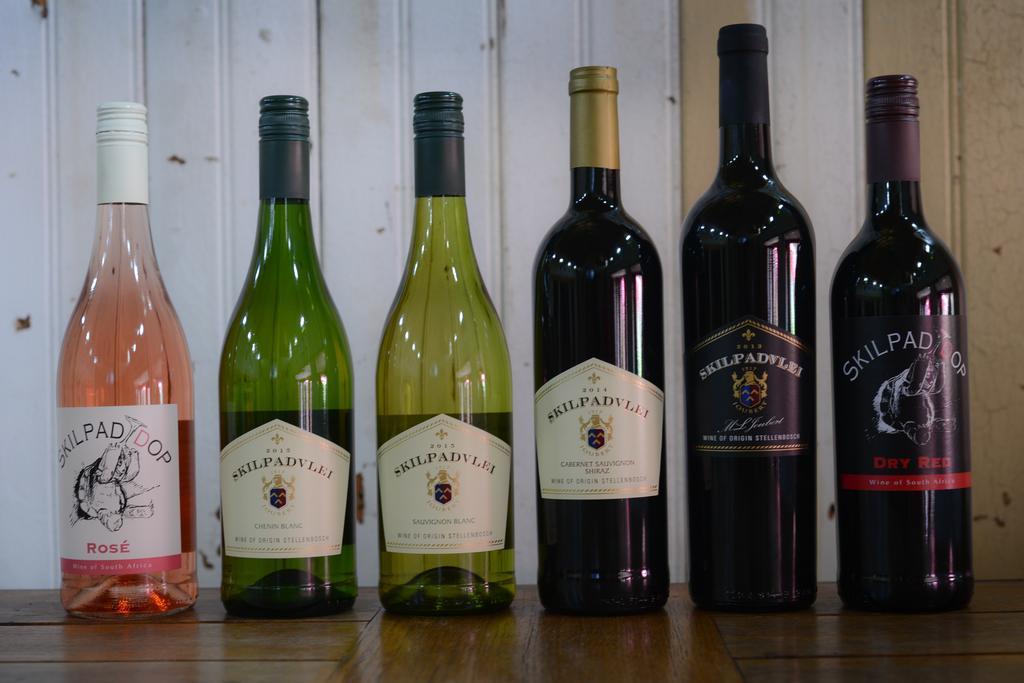 Skilpadvlei Wine Farm Stellenbosch Zewnętrze zdjęcie
