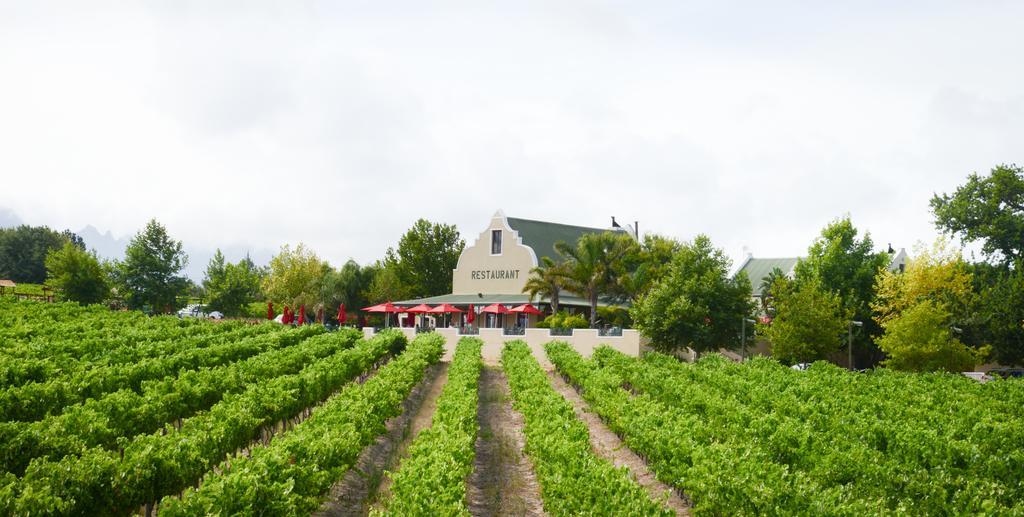 Skilpadvlei Wine Farm Stellenbosch Zewnętrze zdjęcie