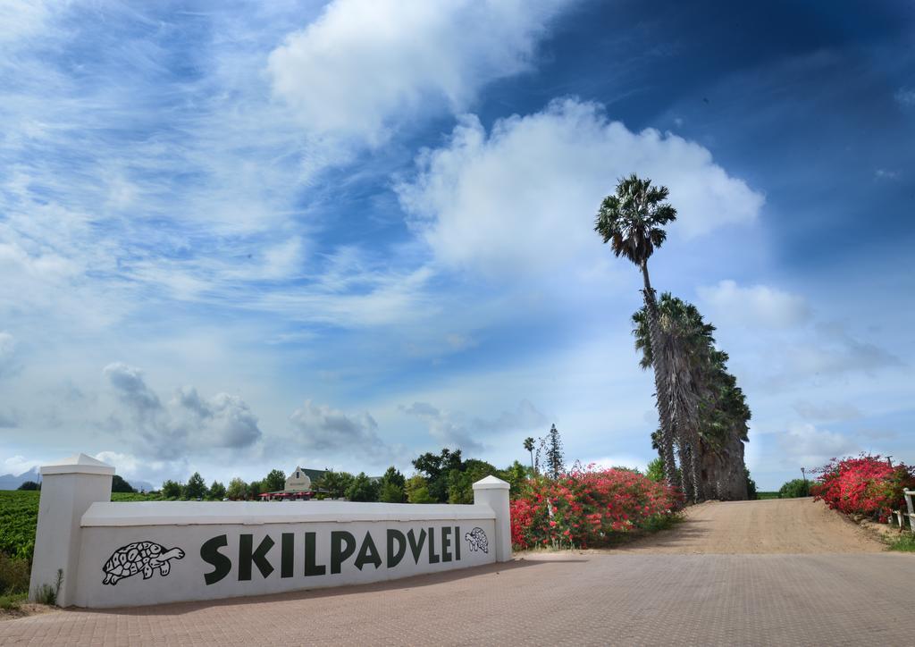 Skilpadvlei Wine Farm Stellenbosch Zewnętrze zdjęcie