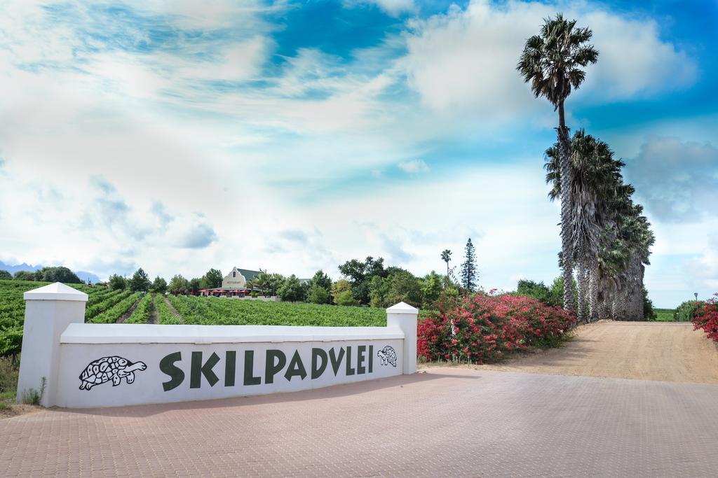 Skilpadvlei Wine Farm Stellenbosch Zewnętrze zdjęcie