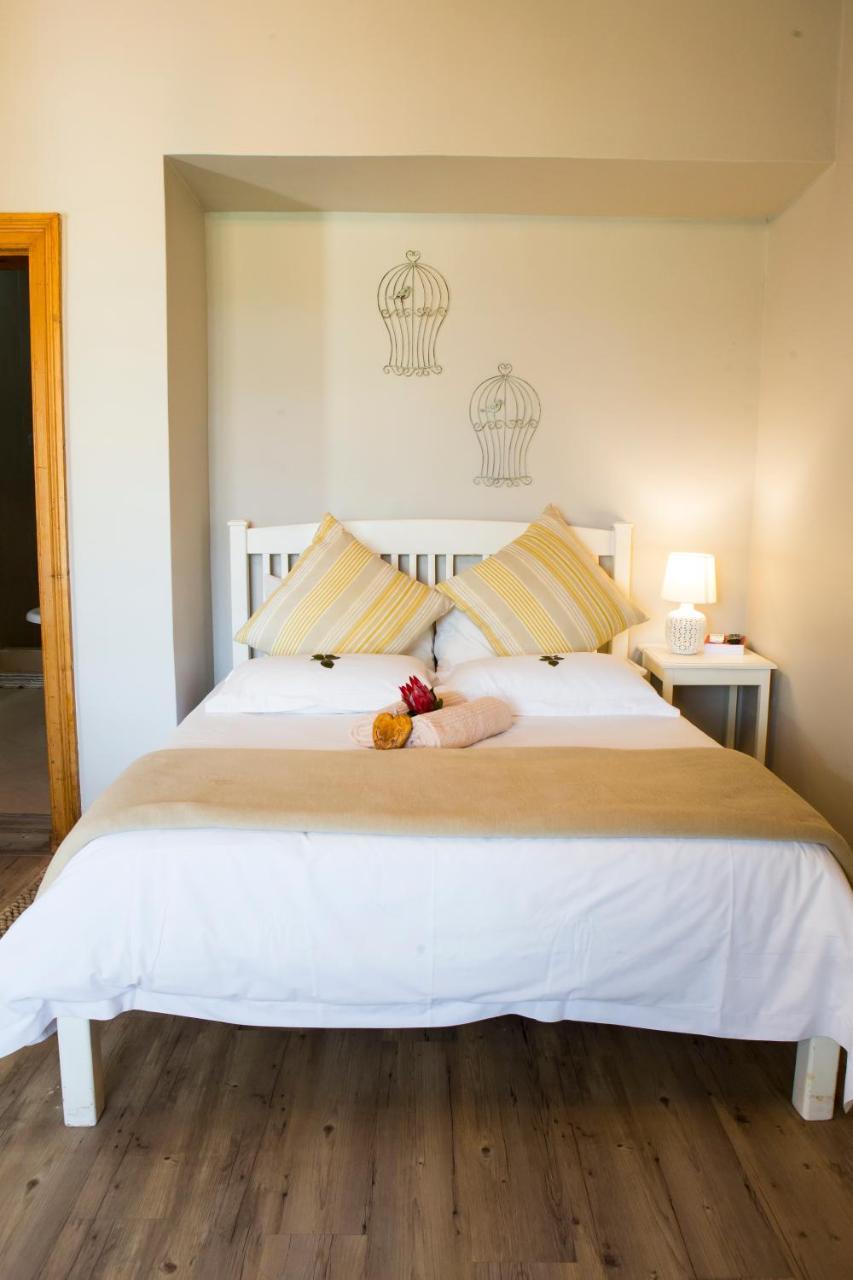 Skilpadvlei Wine Farm Stellenbosch Zewnętrze zdjęcie